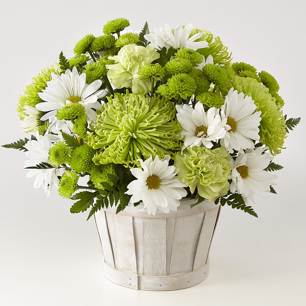 Lucky Charm Basket (Standard) – Usa Flowershop Llc, Pompano Beach FL