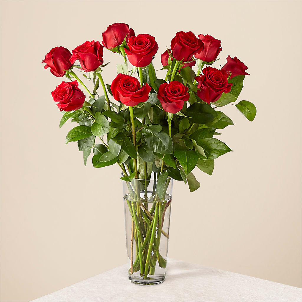Long Stem Red Rose Bouquet – Usa Flowershop Llc, Pompano Beach FL