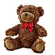 Adorable Plush Bear – Usa Flowershop Llc, Pompano Beach FL