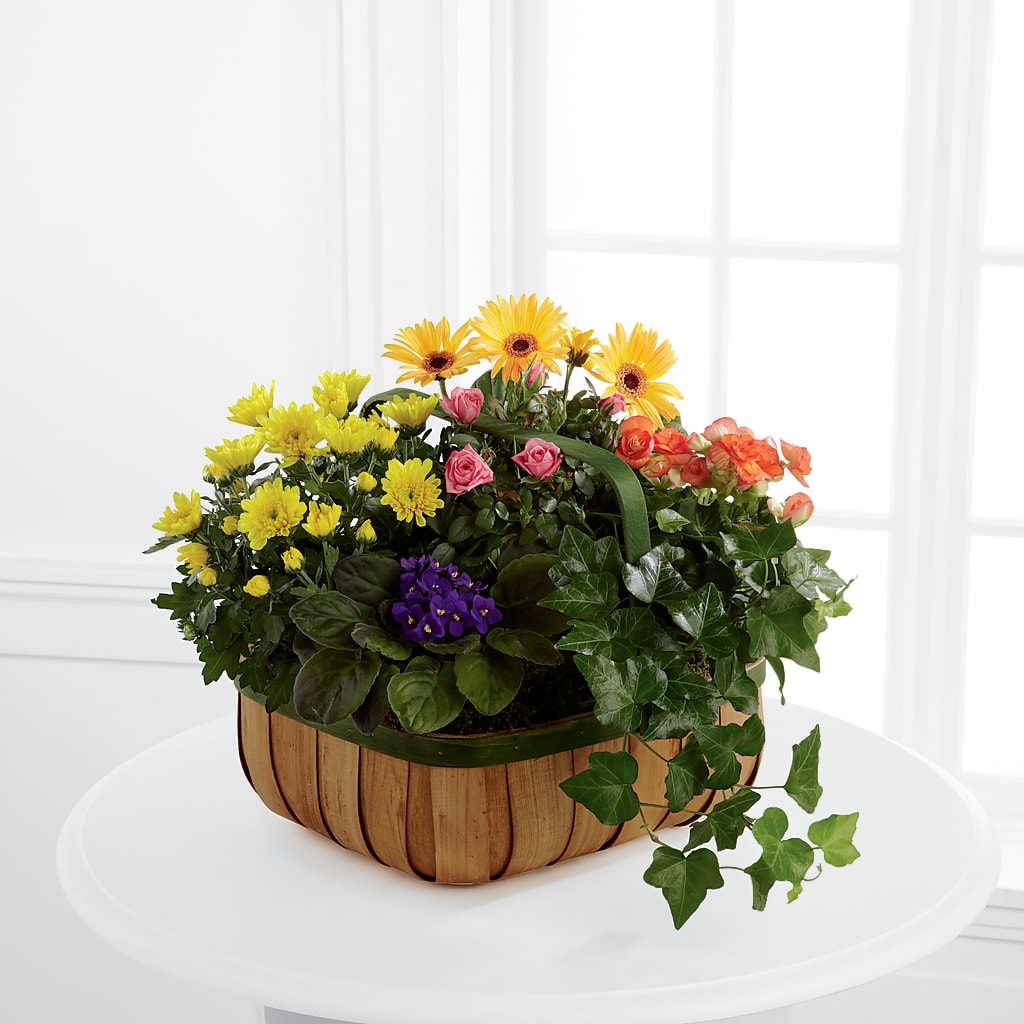 Gentle Blossoms Basket – Usa Flowershop Llc, Pompano Beach FL
