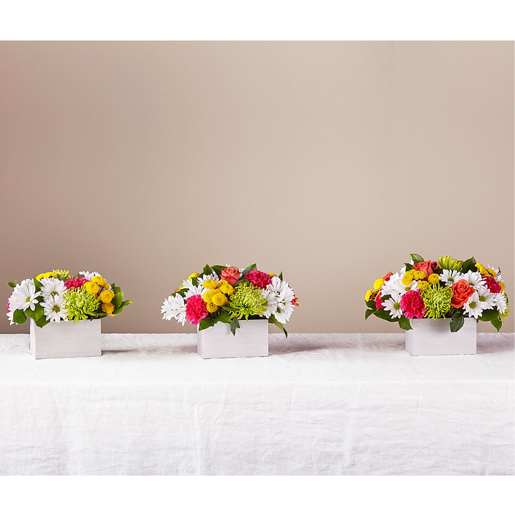 Sorbet Bouquet – Usa Flowershop Llc, Pompano Beach FL