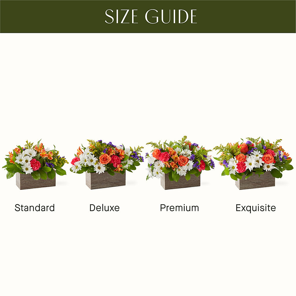 Oopsie Daisy Box Bouquet – Usa Flowershop Llc, Pompano Beach FL