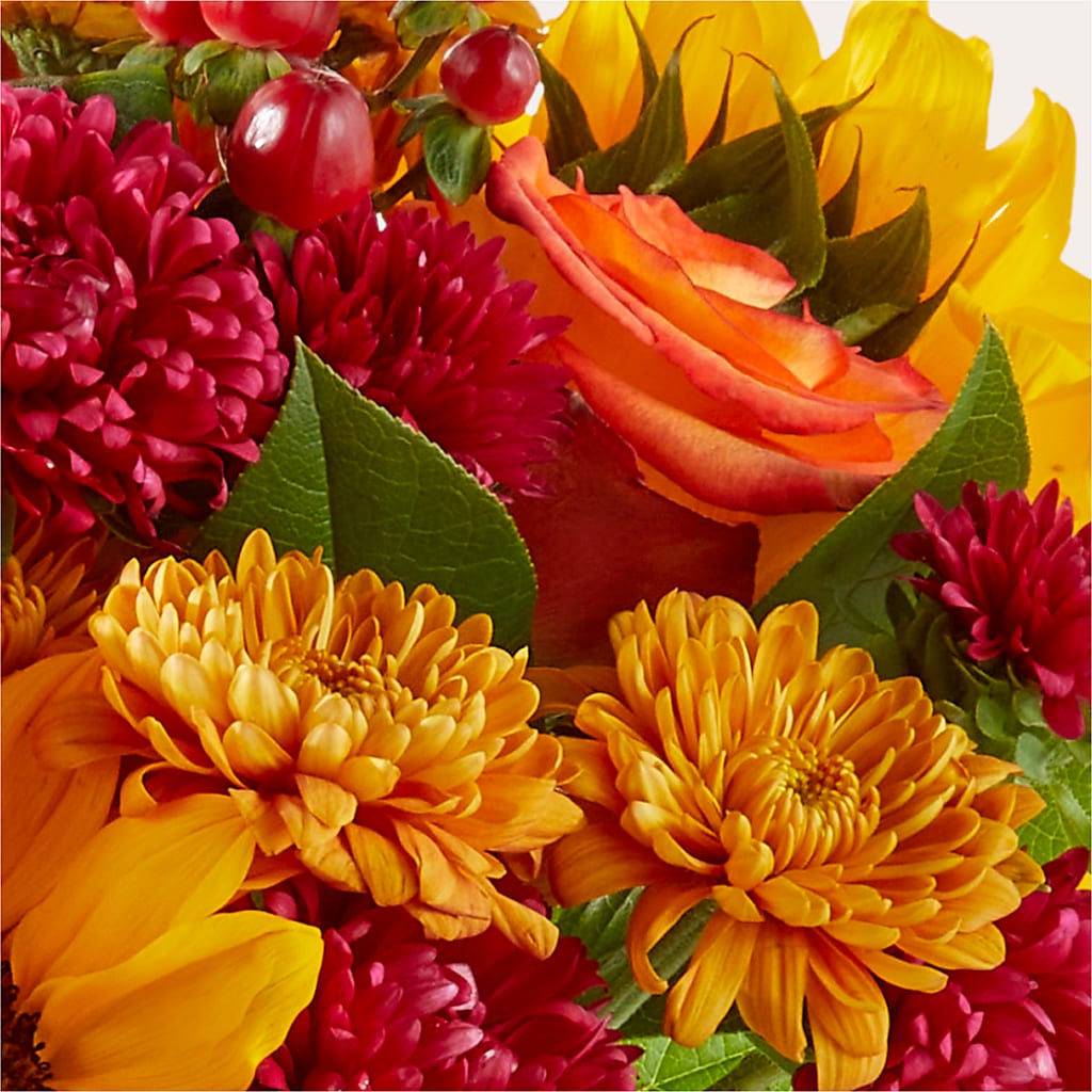 Sweater Season - A Florist Original – Usa Flowershop Llc, Pompano Beach FL