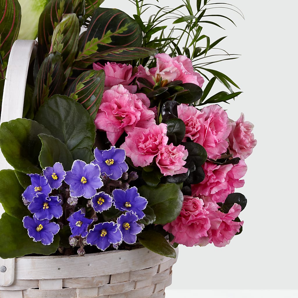 Peaceful Garden Planter – Usa Flowershop Llc, Pompano Beach FL