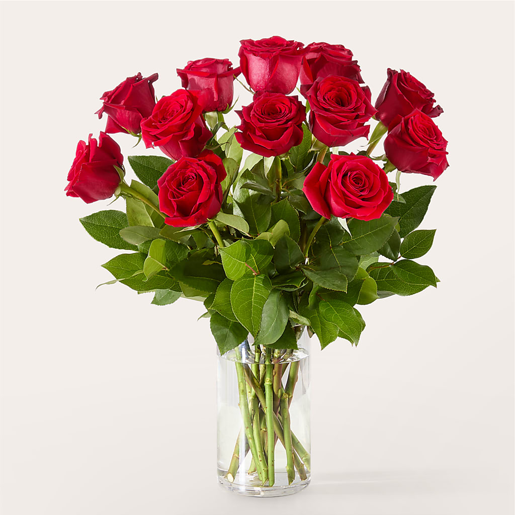 The One Red Rose Bouquet – Usa Flowershop Llc, Pompano Beach FL