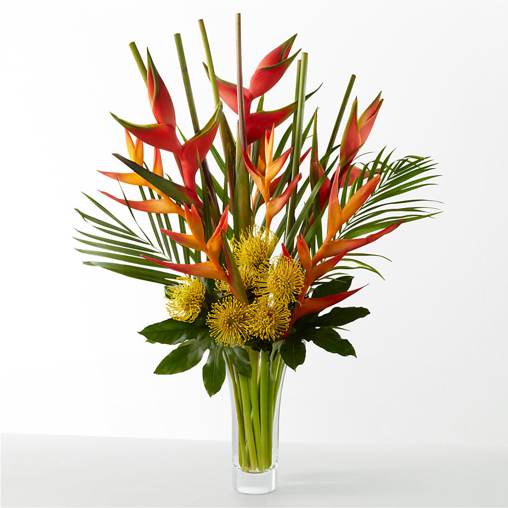 The Drama – Usa Flowershop Llc, Pompano Beach FL