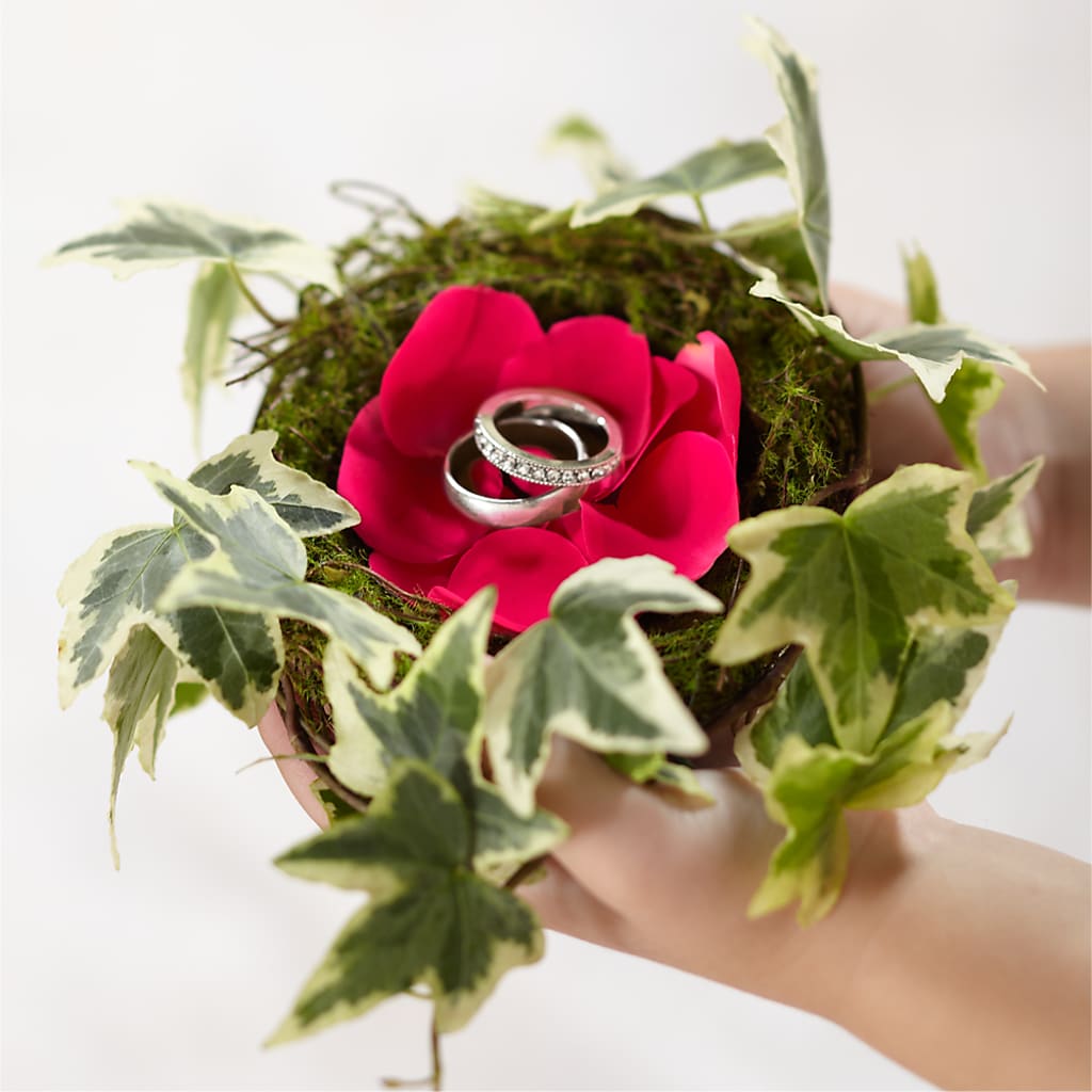 Lila Rose Ring Nest – Usa Flowershop Llc, Pompano Beach FL
