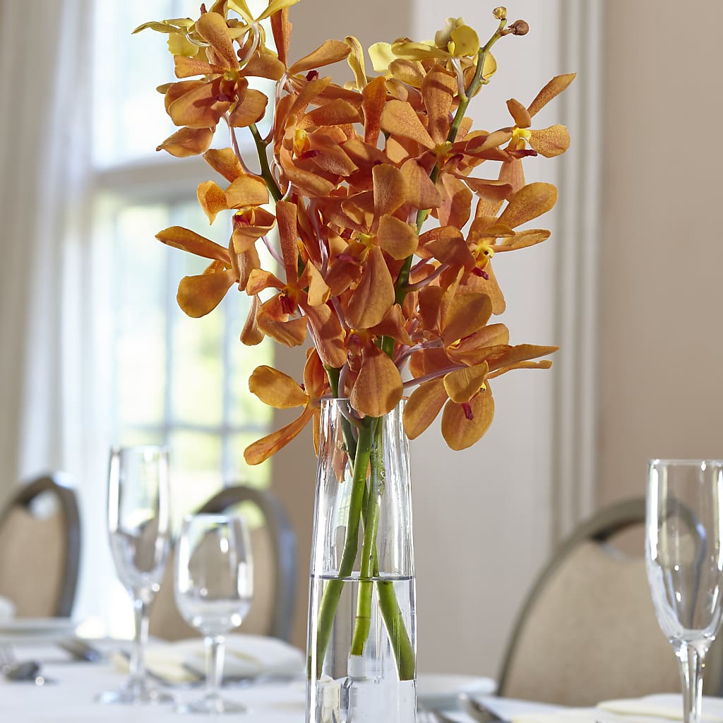 Orange Mokara Bud Vase – Usa Flowershop Llc, Pompano Beach FL