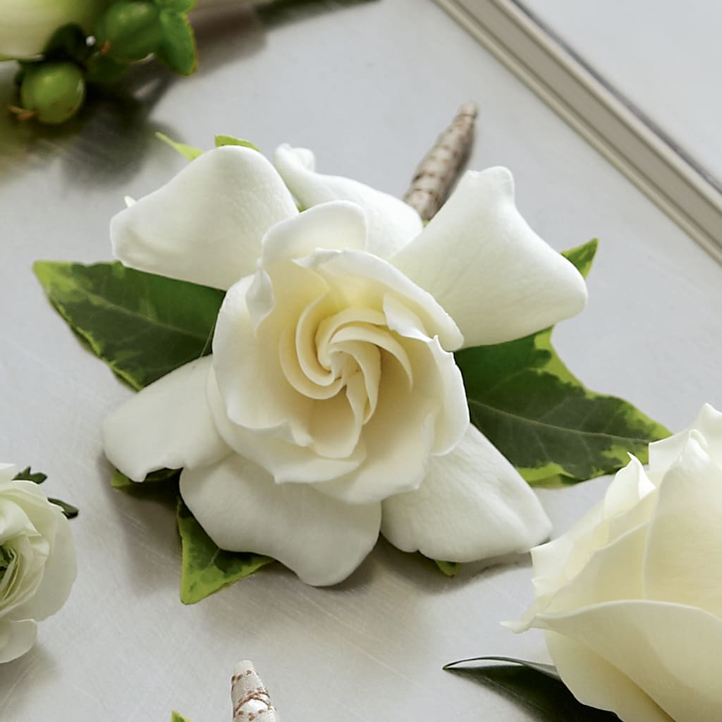 Gardenia Boutonniere – Usa Flowershop Llc, Pompano Beach FL