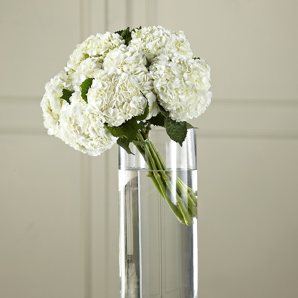 White Hydrangea Hand-Tied Bouquet – Usa Flowershop Llc, Pompano Beach FL