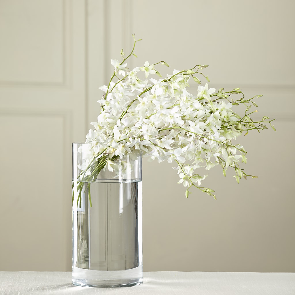 White Dendrobium Bouquet – Usa Flowershop Llc, Pompano Beach FL