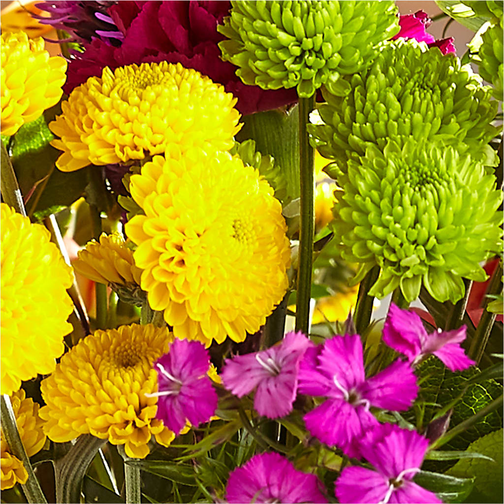 Bold & Bright – A Florist Original –  Usa Flowershop Llc, Pompano Beach FL
