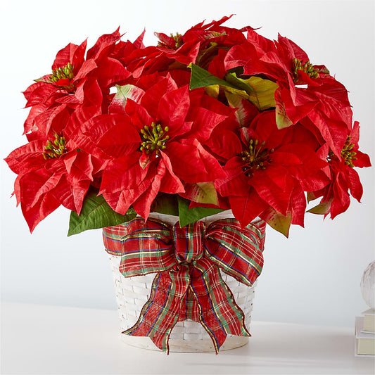 Happiest Holidays Poinsettia –  Usa Flowershop Llc, Pompano Beach FL