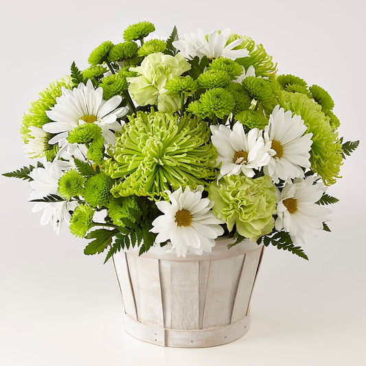 Lucky Charm Basket (Standard) –  Usa Flowershop Llc, Pompano Beach FL