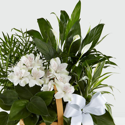 Peace & Serenity Dishgarden –  Usa Flowershop Llc, Pompano Beach FL