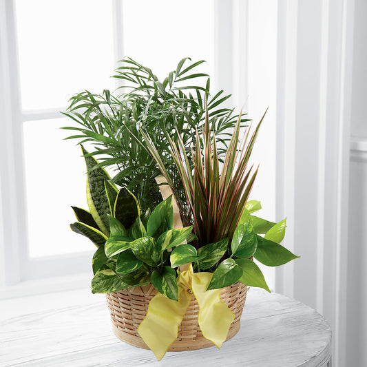 French Garden –  Usa Flowershop Llc, Pompano Beach FL