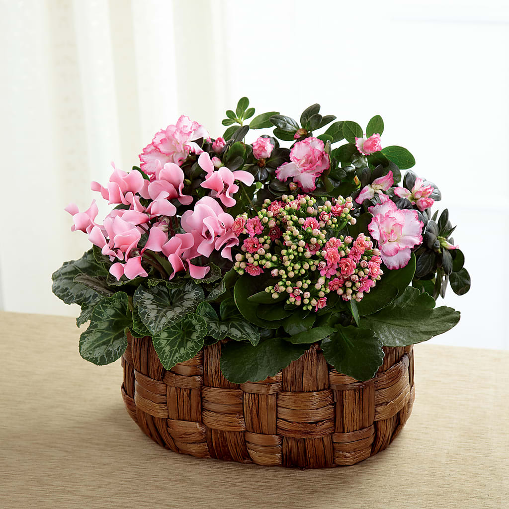 Pink Assortment –  Usa Flowershop Llc, Pompano Beach FL