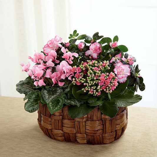 Pink Assortment –  Usa Flowershop Llc, Pompano Beach FL