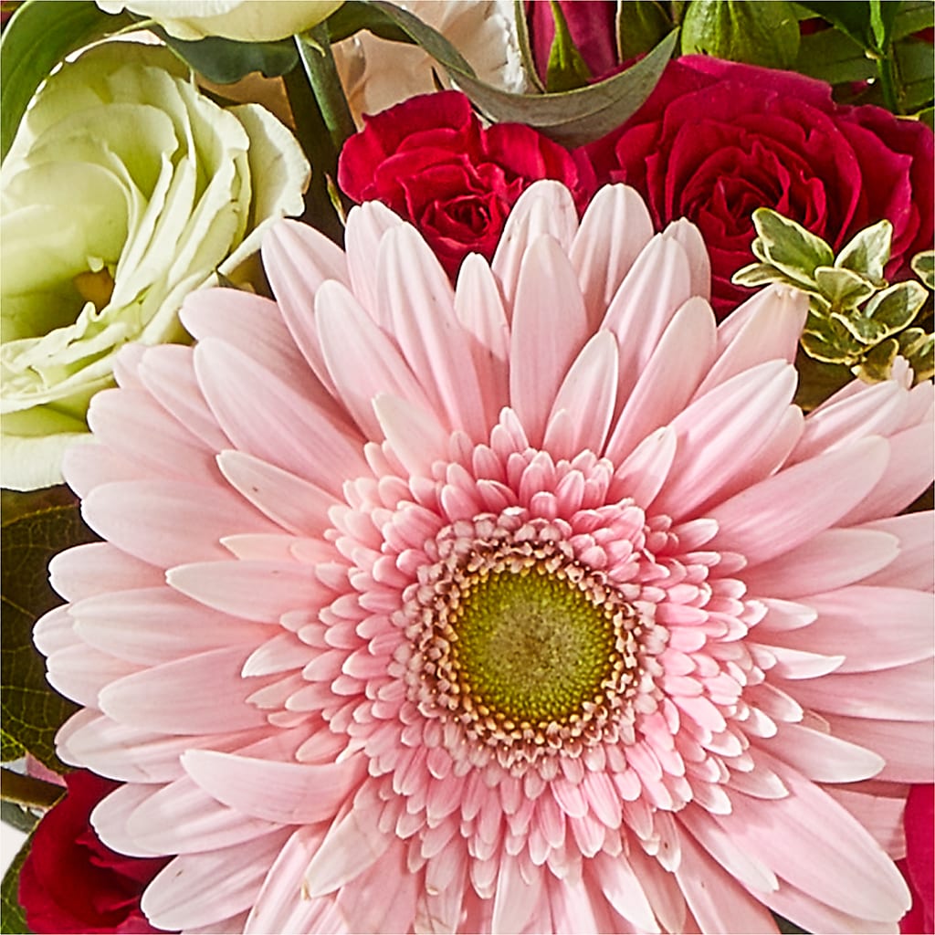 Too Cute Bouquet –  Usa Flowershop Llc, Pompano Beach FL