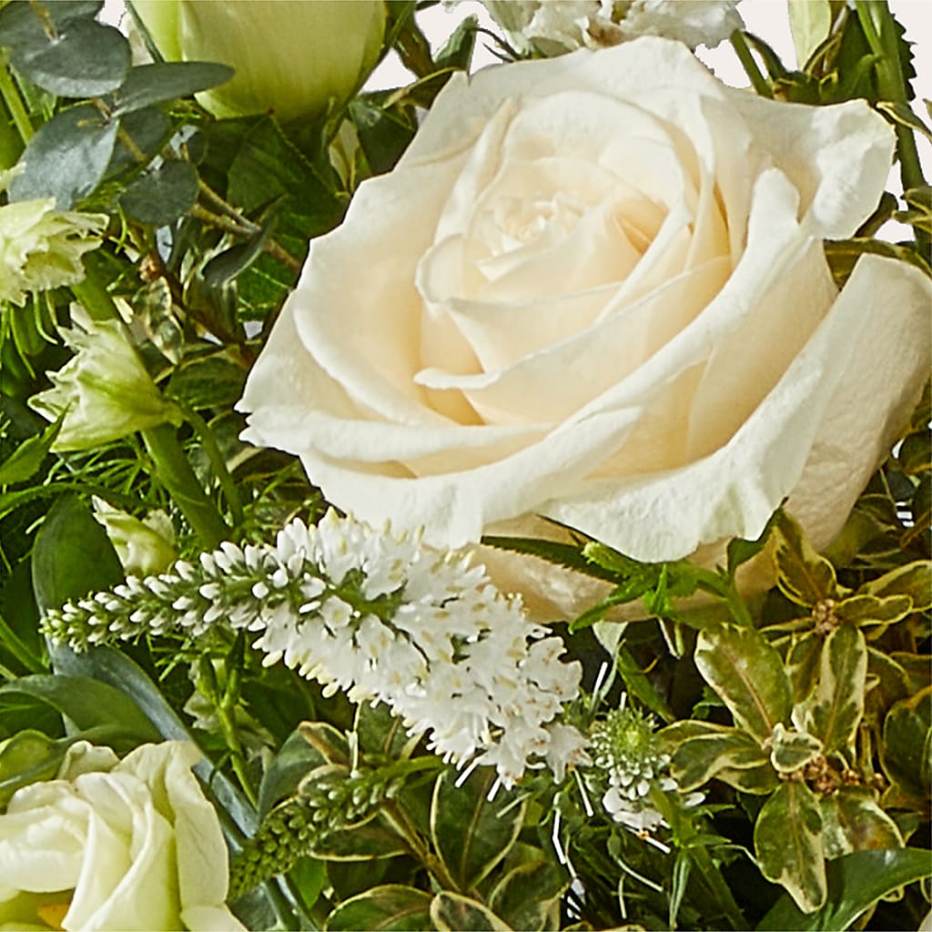Cashmere Bouquet –  Usa Flowershop Llc, Pompano Beach FL