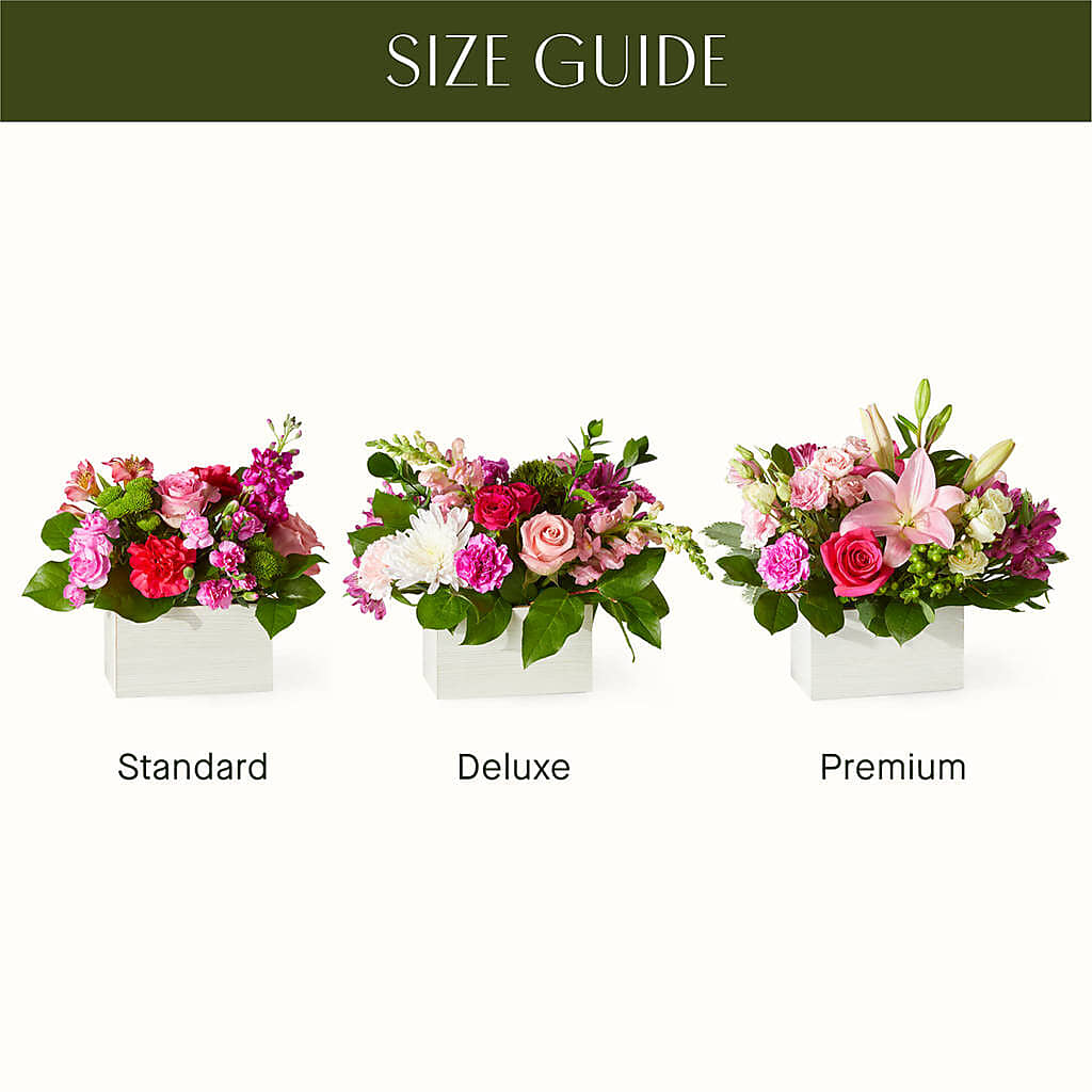 Sweetberry Box – A Florist Original –  Usa Flowershop Llc, Pompano Beach FL
