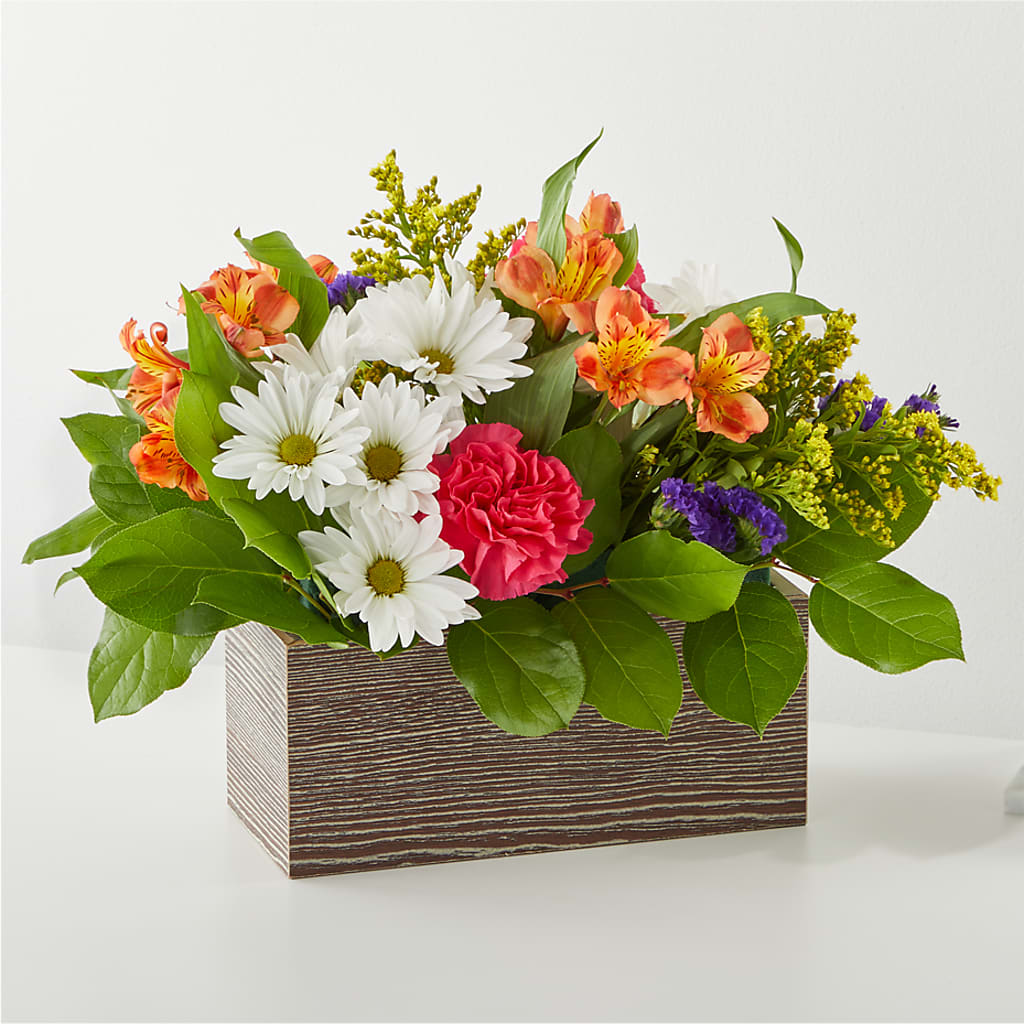 Oopsie Daisy Box Bouquet –  Usa Flowershop Llc, Pompano Beach FL