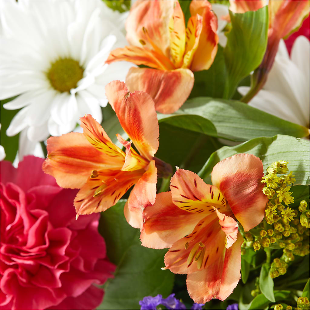 Oopsie Daisy Box Bouquet –  Usa Flowershop Llc, Pompano Beach FL