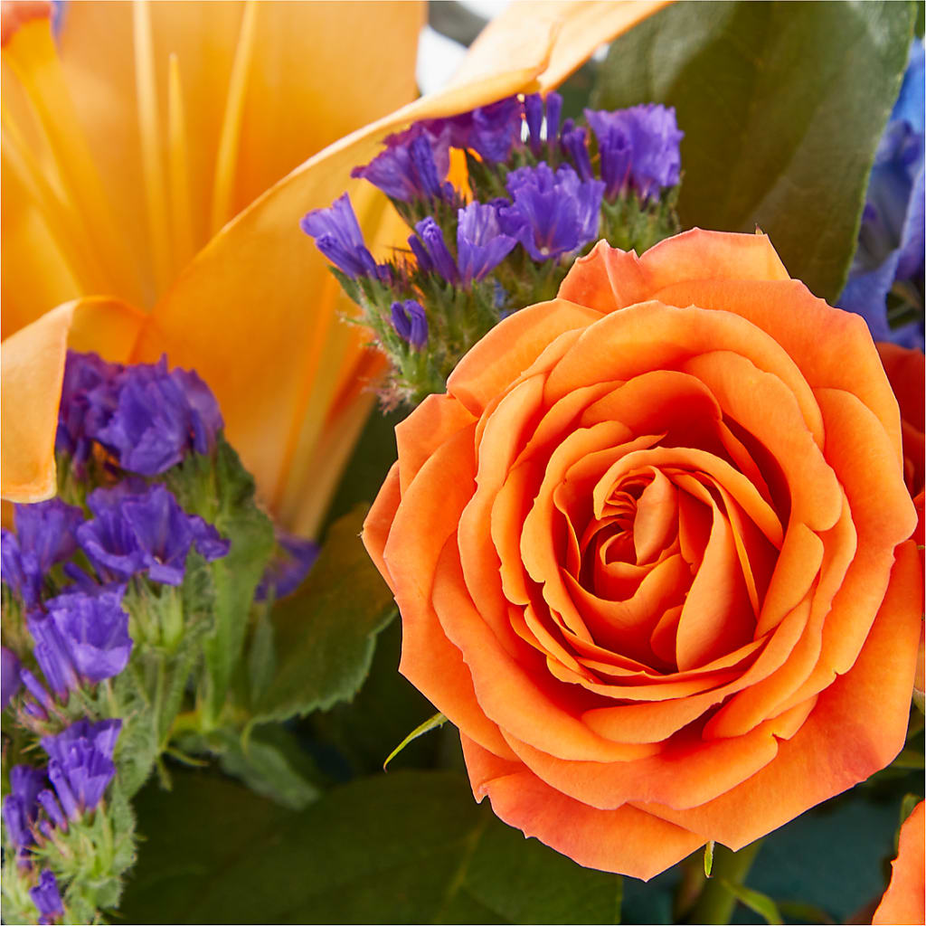 Radiant Citrus Box Bouquet –  Usa Flowershop Llc, Pompano Beach FL