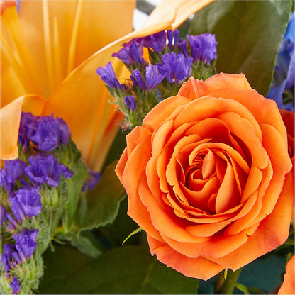 Radiant Citrus Box Bouquet –  Usa Flowershop Llc, Pompano Beach FL