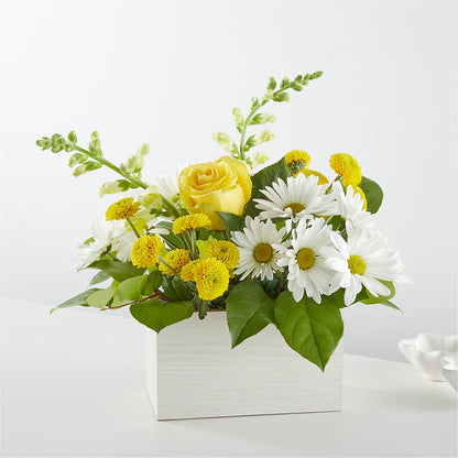 Sun Salutation Box Bouquet –  Usa Flowershop Llc, Pompano Beach FL