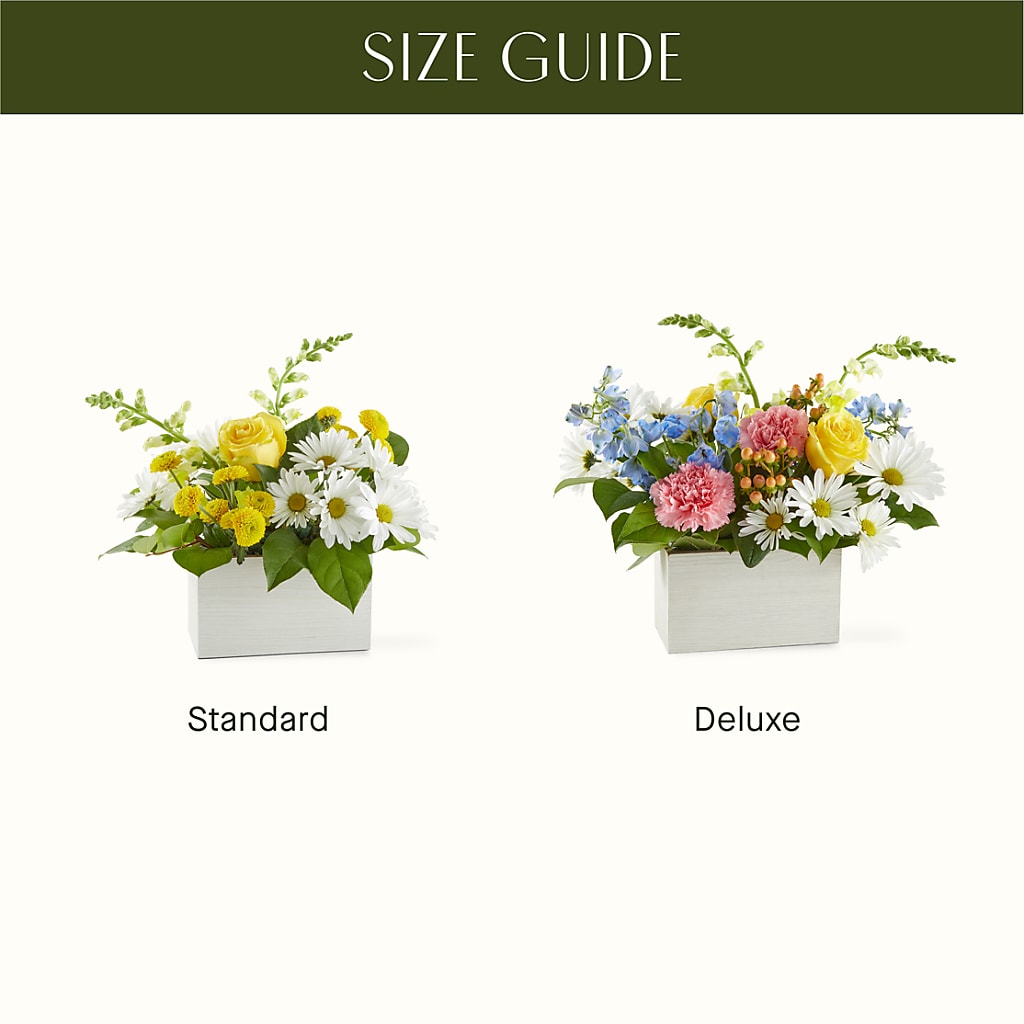 Sun Salutation Box Bouquet –  Usa Flowershop Llc, Pompano Beach FL