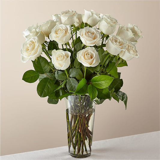 Long Stem White Rose Bouquet –  Usa Flowershop Llc, Pompano Beach FL