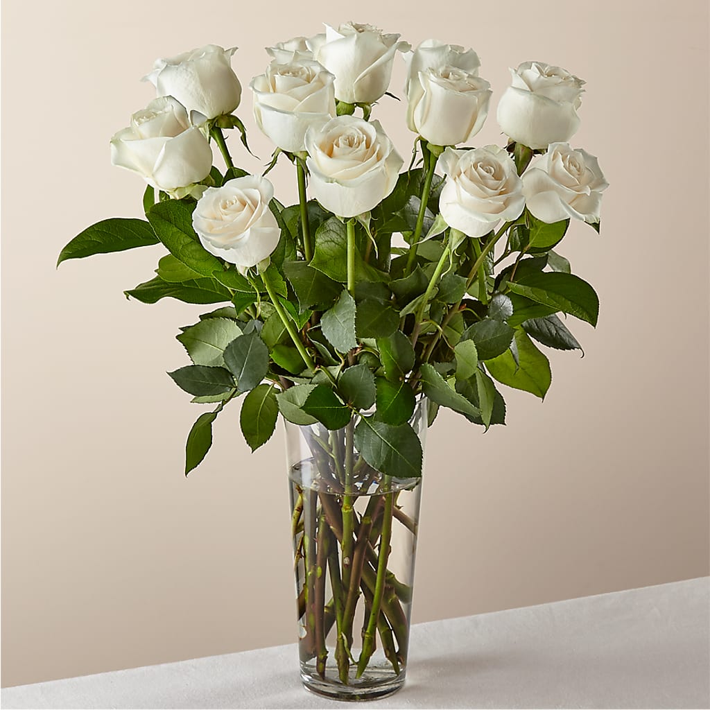 Long Stem White Rose Bouquet –  Usa Flowershop Llc, Pompano Beach FL