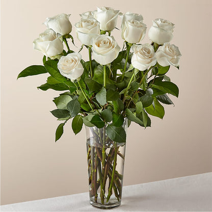 Long Stem White Rose Bouquet –  Usa Flowershop Llc, Pompano Beach FL