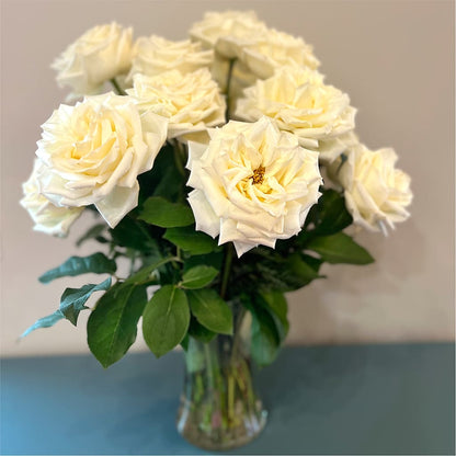 Long Stem Yellow Rose Bouquet –  Usa Flowershop Llc, Pompano Beach FL