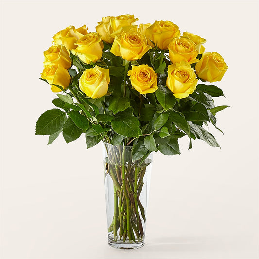 Long Stem Yellow Rose Bouquet –  Usa Flowershop Llc, Pompano Beach FL