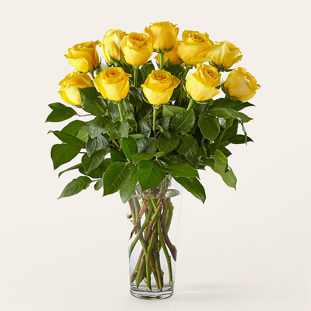 Long Stem Yellow Rose Bouquet –  Usa Flowershop Llc, Pompano Beach FL