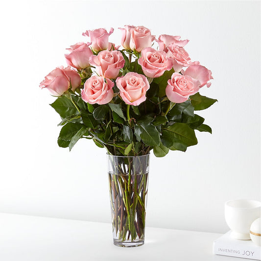 Long Stem Pink Rose Bouquet –  Usa Flowershop Llc, Pompano Beach FL