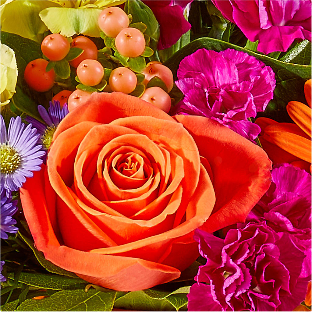 Tricks & Treats Pumpkin –  Usa Flowershop Llc, Pompano Beach FL