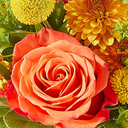 Gourdgeous Pumpkin –  Usa Flowershop Llc, Pompano Beach FL