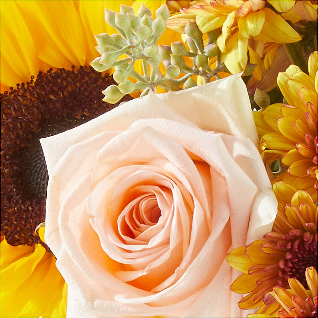 Pumpkin to Talk About Bouquet –  Usa Flowershop Llc, Pompano Beach FL