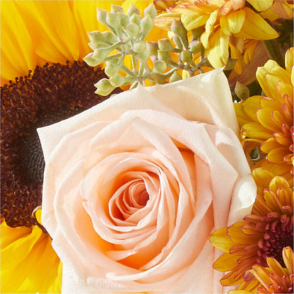 Pumpkin to Talk About Bouquet –  Usa Flowershop Llc, Pompano Beach FL