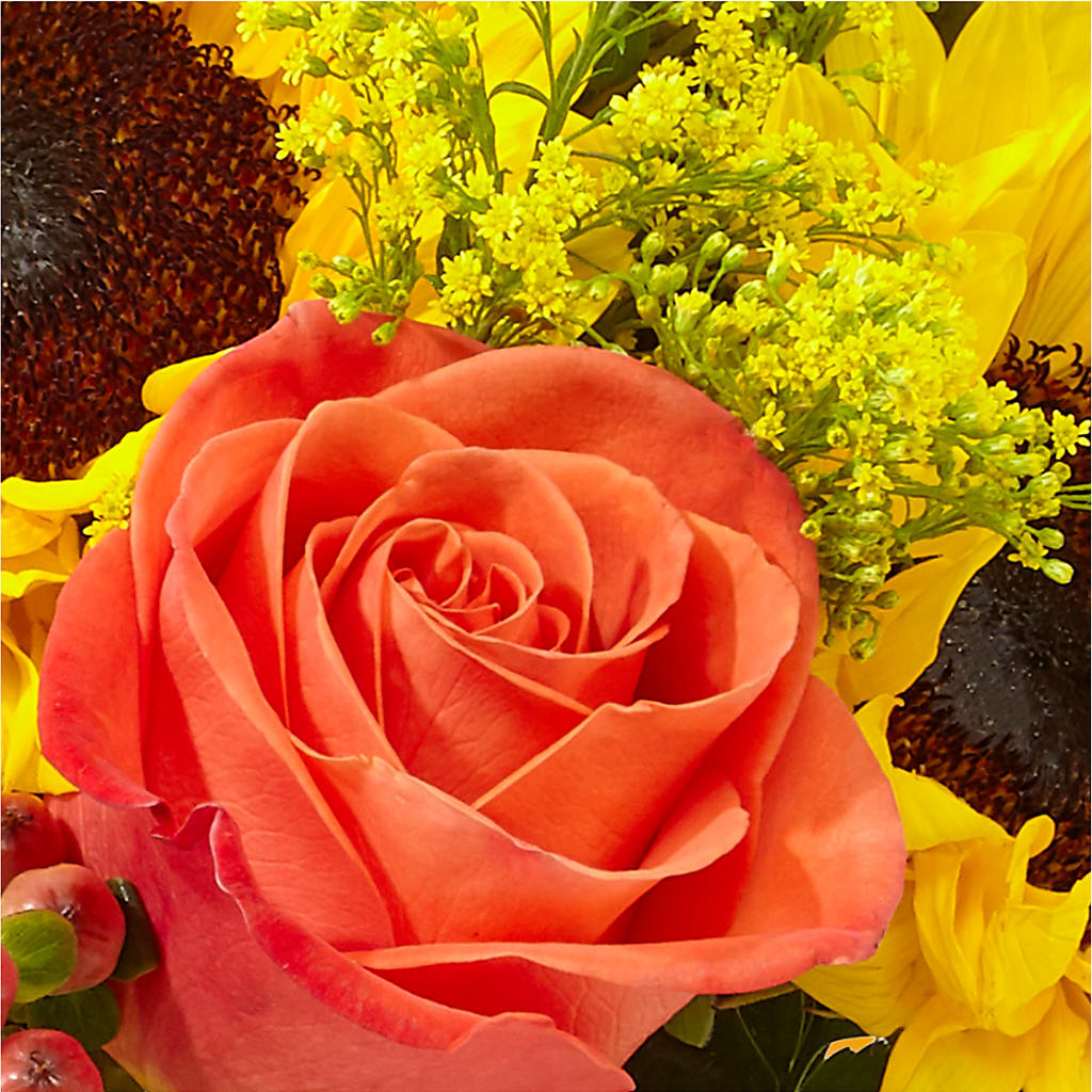 Pick of the Patch Pumpkin Bouquet –  Usa Flowershop Llc, Pompano Beach FL