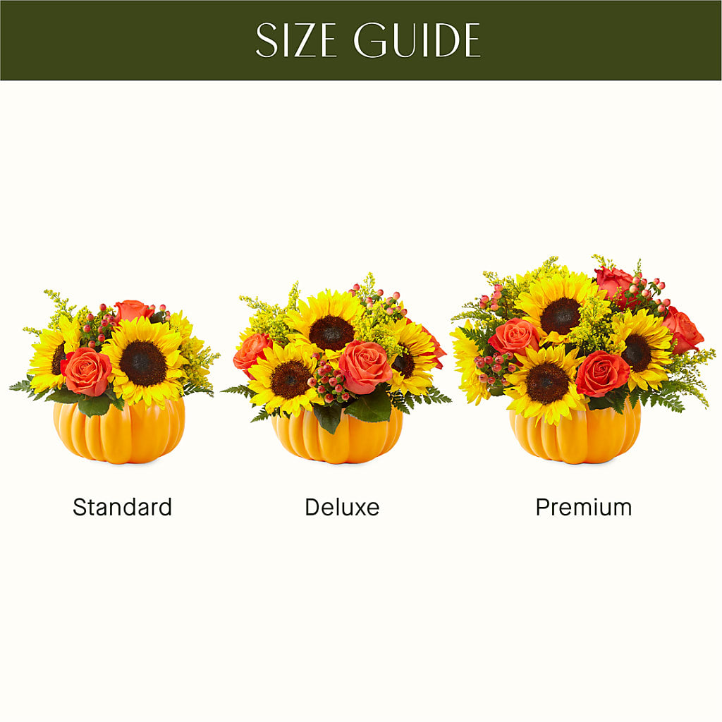 Pick of the Patch Pumpkin Bouquet –  Usa Flowershop Llc, Pompano Beach FL