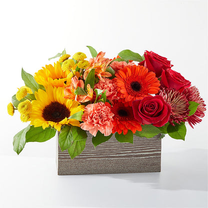 Autumn Orchard Bouquet –  Usa Flowershop Llc, Pompano Beach FL