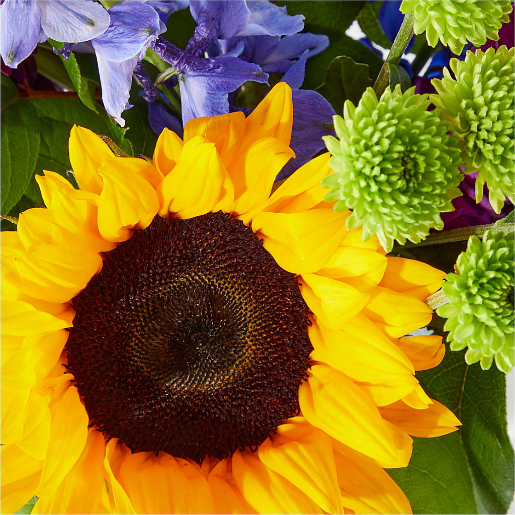 Catching Rays Bouquet –  Usa Flowershop Llc, Pompano Beach FL