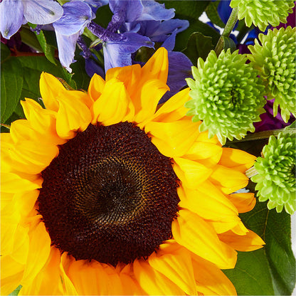 Catching Rays Bouquet –  Usa Flowershop Llc, Pompano Beach FL