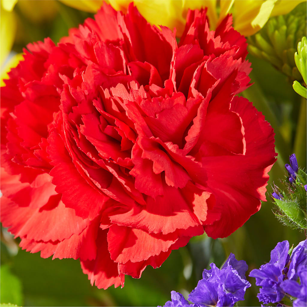 Brighter Days Bouquet –  Usa Flowershop Llc, Pompano Beach FL