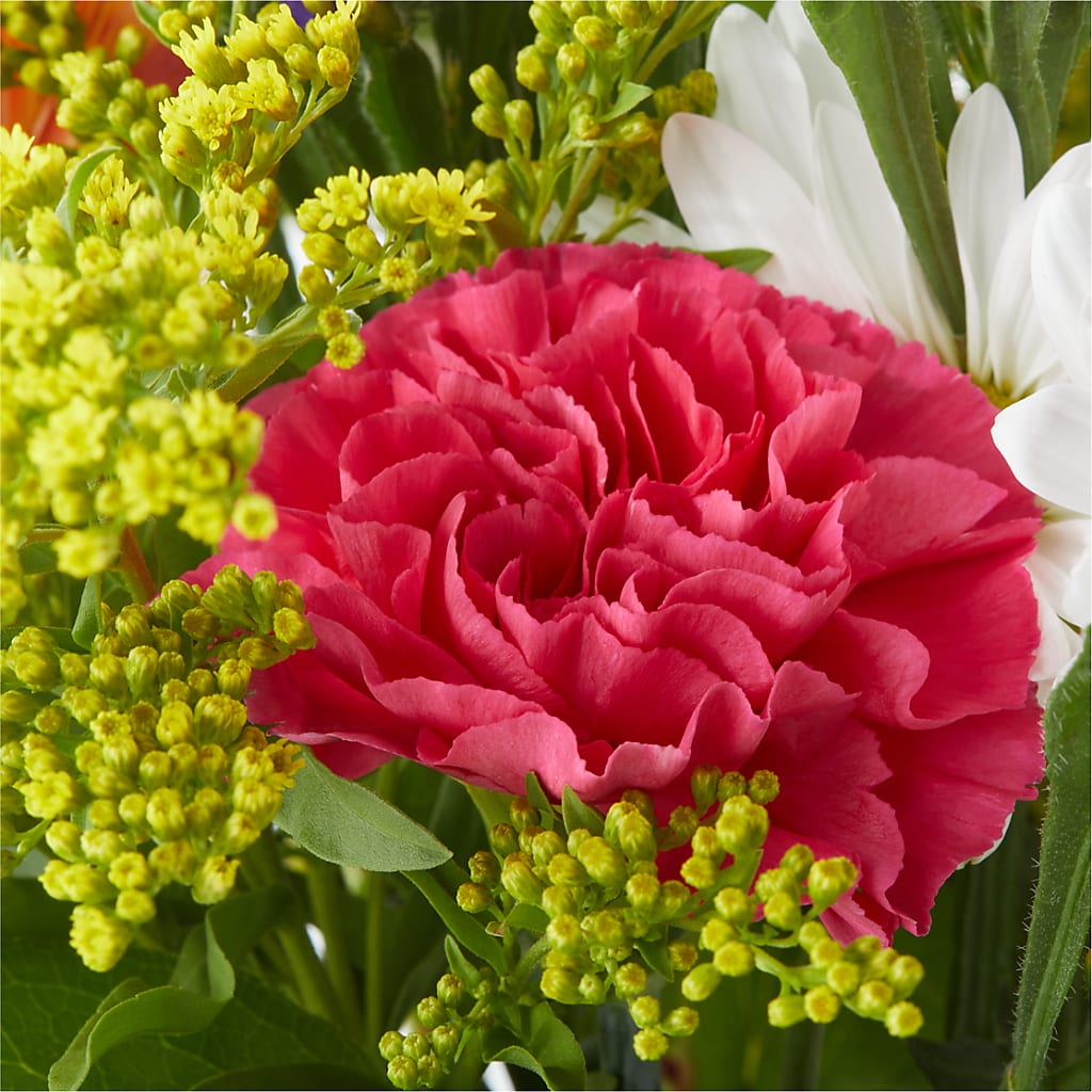 Oopsie Daisy Bouquet –  Usa Flowershop Llc, Pompano Beach FL