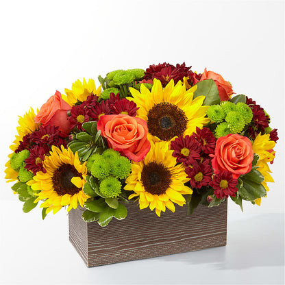 Happy Harvest Garden –  Usa Flowershop Llc, Pompano Beach FL